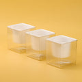 Maceta Clear - CHO-212
